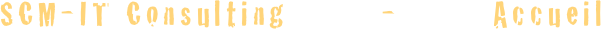 SCM-IT Consulting        -        Accueil